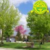 PARCO S.GIOVANNI